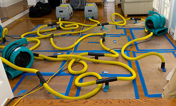 Professional Crawl Space Water Removal technician working in Salvisa, KY